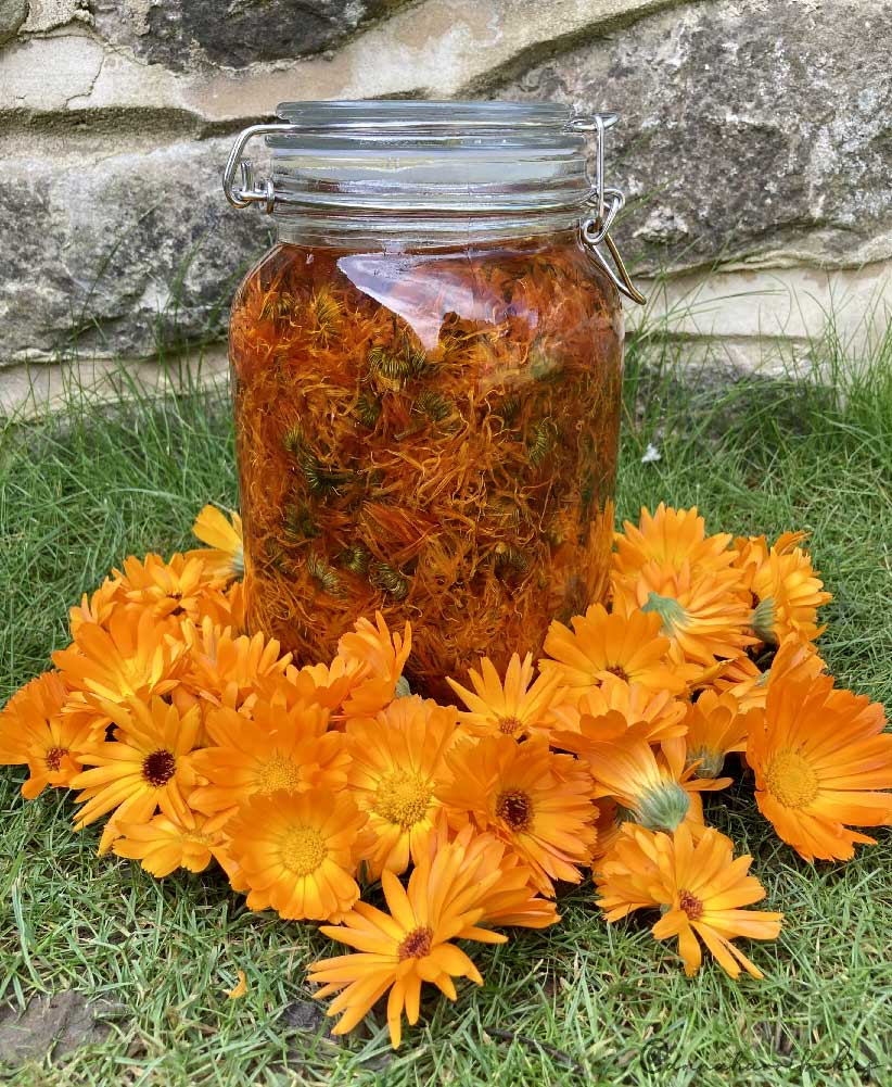 Calendula & Chamomile Healing Oil