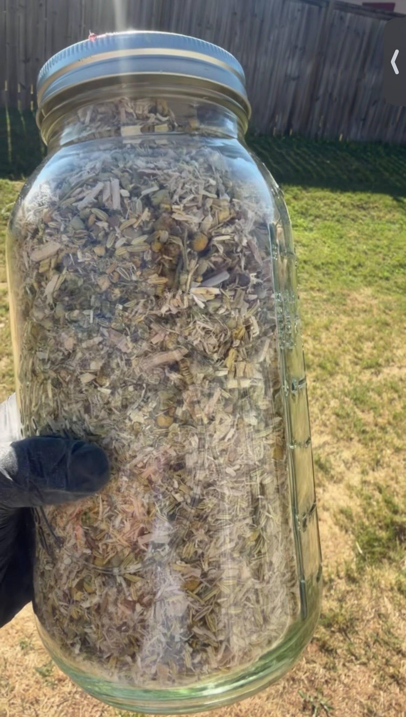 Reflux Reset Herbal Tea Blend™